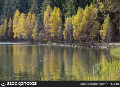 Autumn with the yellow foliage in Lake Saint Ann