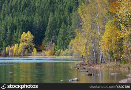 Autumn with the yellow foliage, reflected in Lake Saint Ann