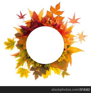 Autumn Wreath of Maple Leaves of Orange, Green, Yellow and Red Colors on the White Background