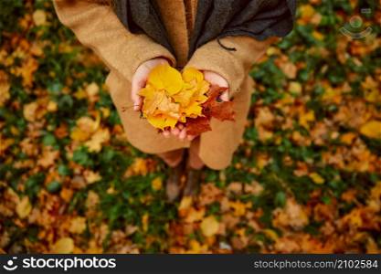 Autumn yellow and brown leaves in female hand. Closeup top view with blurred background. Autumn leaves in female hand top view