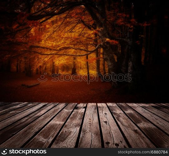 Autumn yellow and red colorful forest and wooden board on foreground