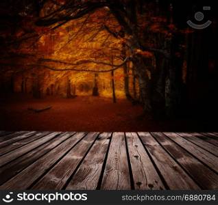 Autumn yellow and red colorful forest and wooden board on foreground