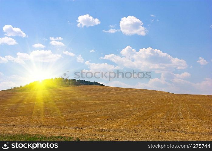 autumn yellow field and the blue sky