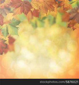 Autumnal fall, abstract environmental backgrounds