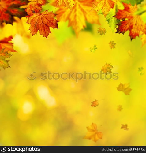 Autumnal fall. Abstract seasonal backgrounds