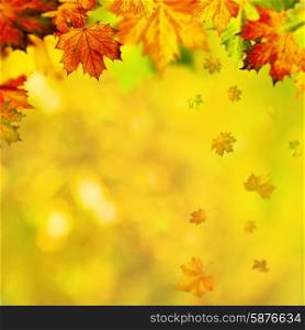 Autumnal fall. Abstract seasonal backgrounds