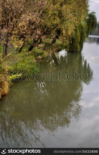Autumnal forest and reflection in river in evening