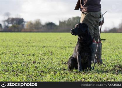Autumnal game shooter with his black labrador peg dog