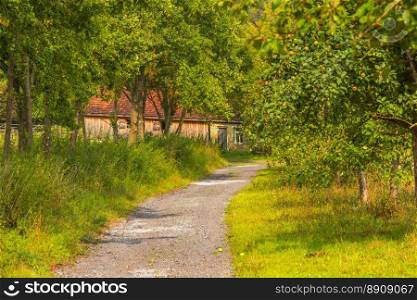 Autumnal image with a rustic road, through an apple orchard,  leading towards an old german house.