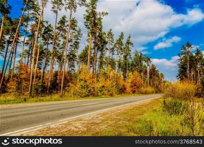 autumnal landscape with big tree and road in forest