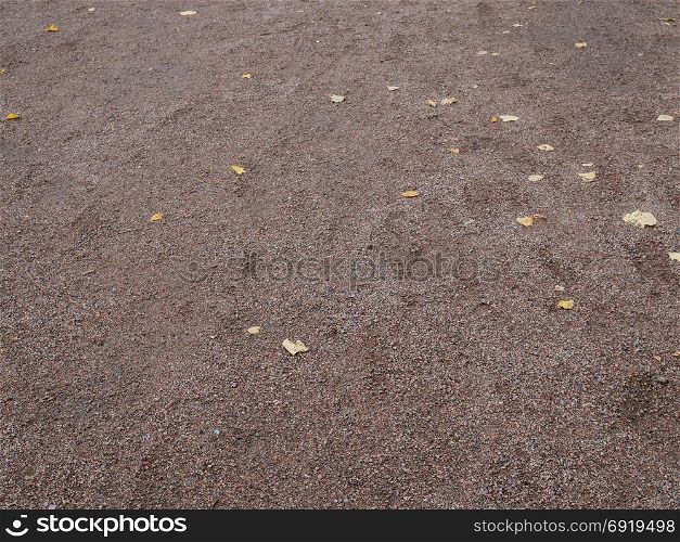 Autumnal leaves on the beach with grey sand