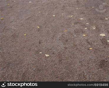 Autumnal leaves on the beach with grey sand