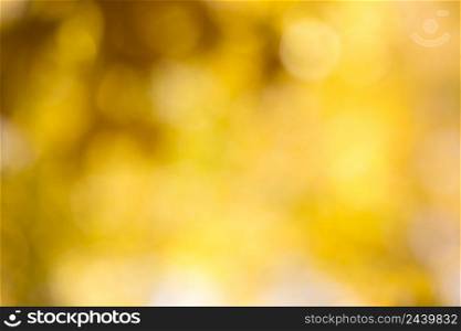 autumnal natural bokeh with sun for background or backdrop