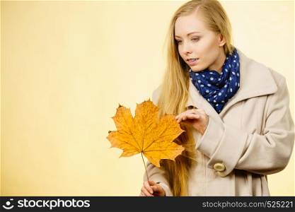 Autumnal natural decorations concept. Woman holding autumn leaf. Studio shot on orange background.. Woman holding orange autumn leaf
