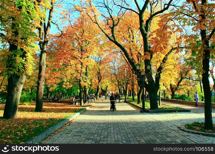 Autumnal park with promenade path and big trees. Autumnal city park with promenade path and big treess