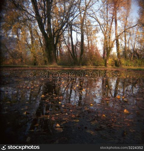 Autumnal Pond
