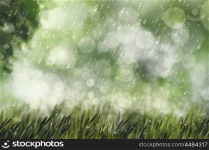 Autumnal rain, beauty natural backgrounds with copy space for your design