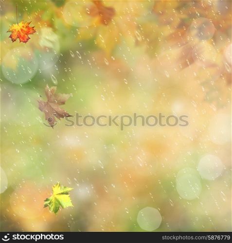 Autumnal rain in the forest, abstract environmental backgrounds