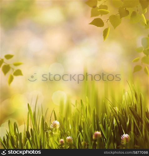 Autumnal shiny day in the forest, abstract environmental backgrounds