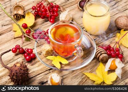 autumnal warming tea. cup of berry tea with a mulberry on background with autumn leaves