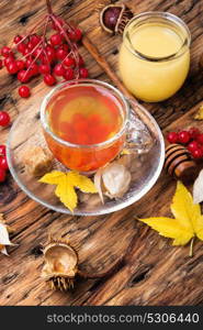 autumnal warming tea. cup of berry tea with a mulberry on background with autumn leaves