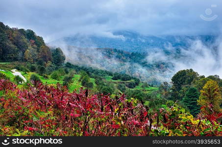 autumng season in the smoky mountains