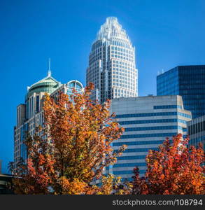 aututmn season in charlotte north carolina