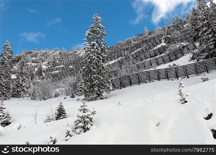 Avalanche Barriers on the side of a steep hill, in Austria
