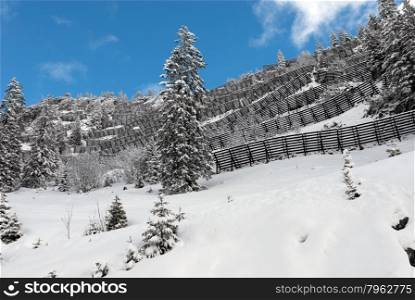 Avalanche Barriers on the side of a steep hill, in Austria