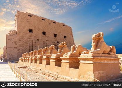 Avenue of ram-headed Sphinxes and the wall of Karnak Temple, Luxor, Egypt.. Avenue of ram-headed Sphinxes and the wall of Karnak Temple, Luxor, Egypt