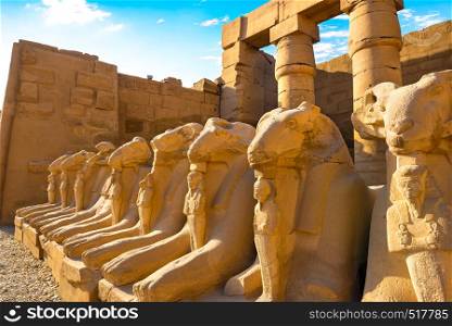 Avenue of Sphinxes in Karnak temple at sunrise, Egypt