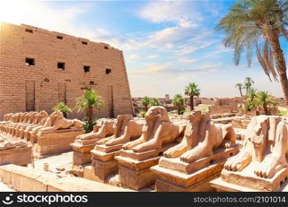 Avenue of Sphinxes or The King s Festivities Road, ram-headed statues of Karnak Temple, Egypt.. Avenue of Sphinxes or The King s Festivities Road, ram-headed statues of Karnak Temple, Egypt