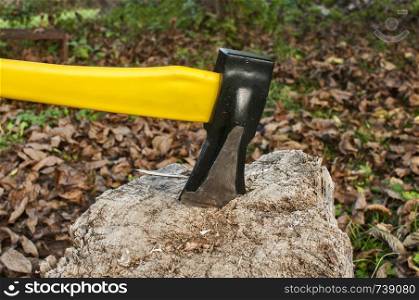 Ax with yellow handle stuck in old stump on autumn dry leaves background