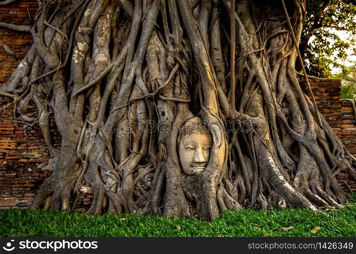 Ayutthaya Buddha Head statue with trapped in Bodhi Tree roots at Wat Maha That (Ayutthaya). Ayutthaya historical park Thailand