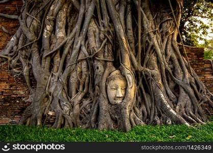 Ayutthaya Buddha Head statue with trapped in Bodhi Tree roots at Wat Maha That (Ayutthaya). Ayutthaya historical park Thailand
