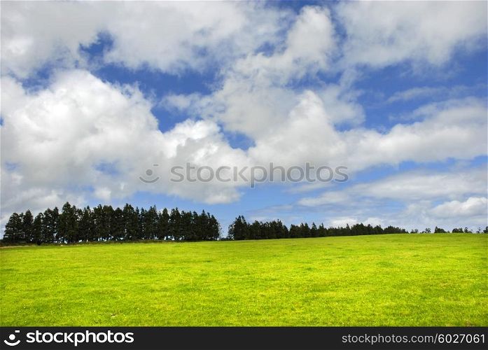 azores green fields at s miguel island