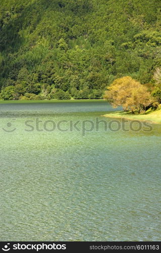 azores green lake at s miguel island