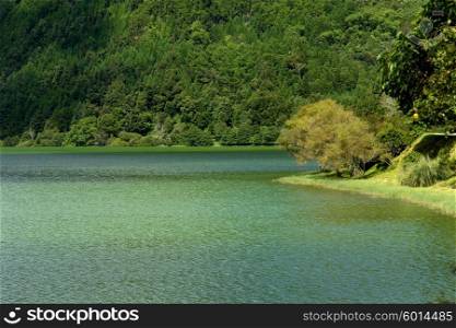 azores green lake of furnas at sao miguel island