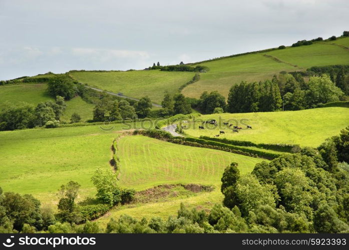 azores natural landscape in s miguel island