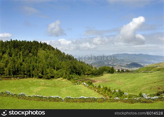 azores typical view at the island of Sao Miguel