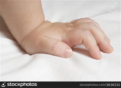 Baby (6-12 months), close up of hand