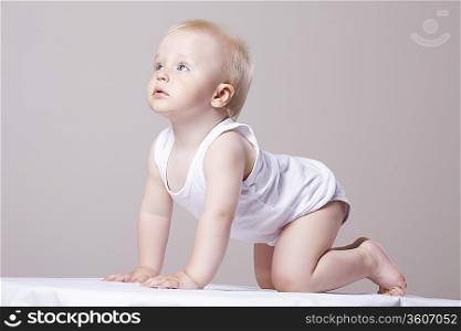 Baby boy (1-20 crawling, looking up, studio shot