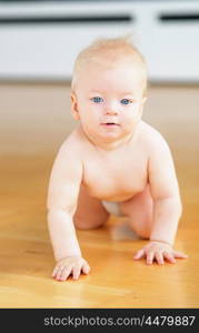 Baby boy crawling on floor