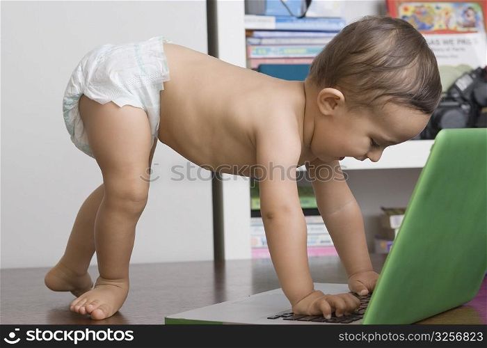 Baby boy using a laptop