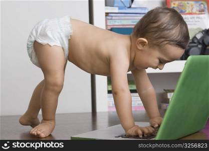 Baby boy using a laptop