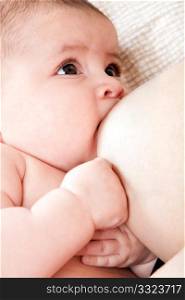 Baby breastfeeding on mothers breast drinking milk with antibodies. Cute eyes looking up while nursing.