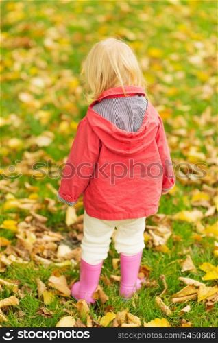 Baby collecting fallen leaves. Rear view