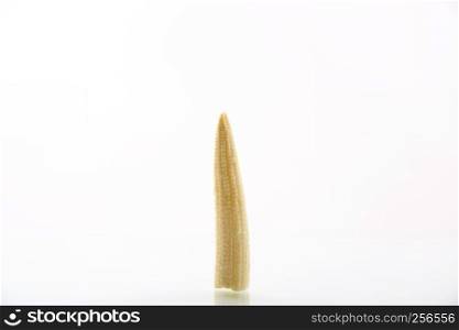 Baby corn isolted in white background