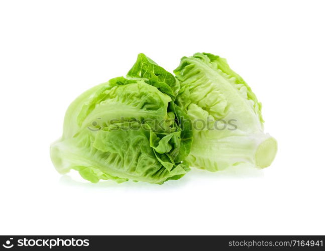 baby cos (lettuce) on white background