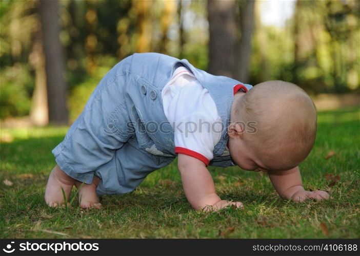 Baby doing a &acute;press up&acute; getting ready to crawl